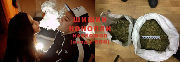стафф Гусев