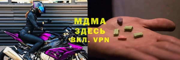 стафф Гусев