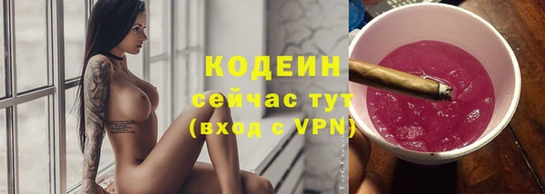 стафф Гусев