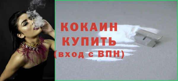 стафф Гусев