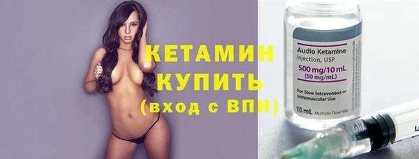 стафф Гусев