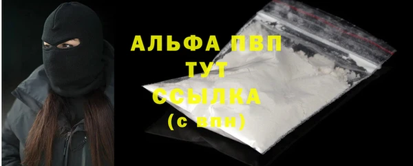 стафф Гусев