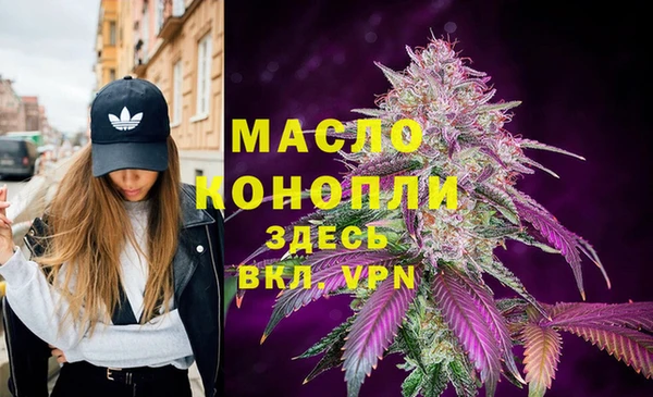 стафф Гусев
