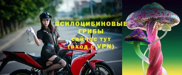 твердый Гусиноозёрск