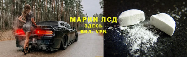 стафф Гусев