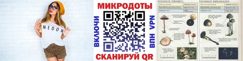 Галлюциногенные грибы мухоморы  Нахабино 